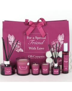 Sentiment Gift Bag 2025- Friend