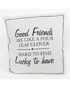 Cushion - Sentiment Friends