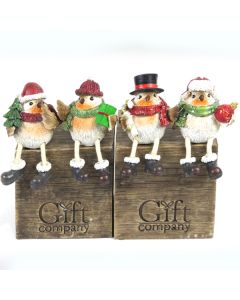 Winter Shelf Birds