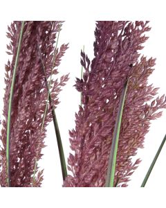 Grain grass 36"H with Pot
