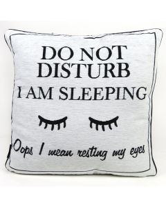 Cushion - Resting my Eyes