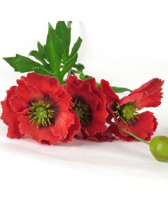 Faux Flower -Red Poppy