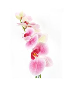 Faux Flower -Pink Orchid Stem