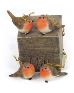 Robin Hanging Dec