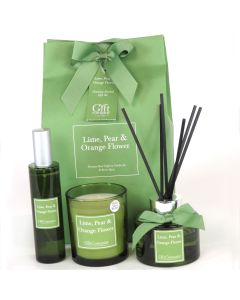 Colour Premium Gift Bag Set-LimePear&OrangeFlower