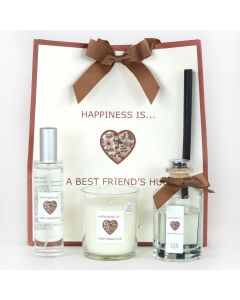 Sentiment Gift Bag 2026- Friend