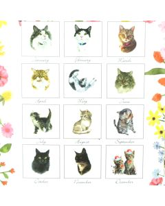Calendar 2027 Country Cat