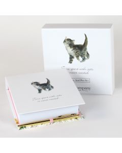 Memo & Pen Set Cats
