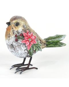 Robin With Poinsettier