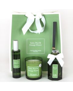 Colour Premium Gift Bag Set -  Lime, Pear & Orange Flower