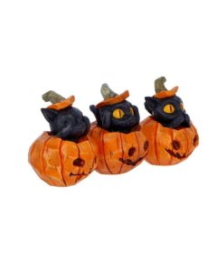 Three Wise Pumpkin Patch