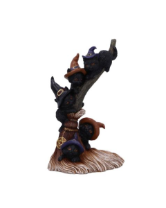 Broomstick Kindle
