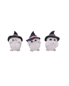 Three Wise Feathered Familiars