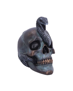 Serpentine Fate Skull