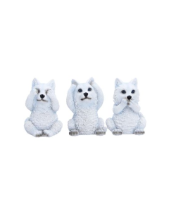 Three Wise Wolf Pups