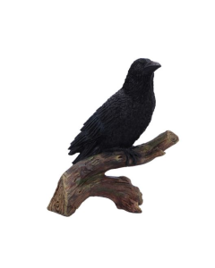 Ravens Perch