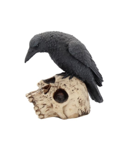 Ravens Remains