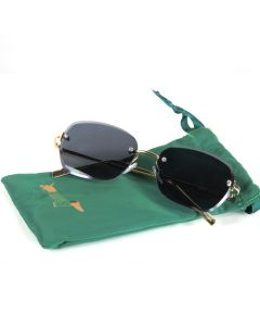 Sunglasses & Case -Green
