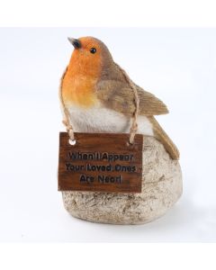 Remembrance Robin