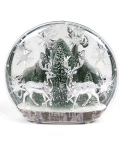 Christmas Light Up Globe S Stars And Reindeer