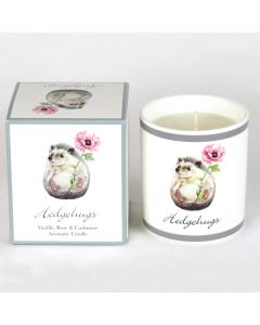 CountryHedgehog Candle(Vanilla,Rose,Cashmre)