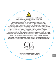 Colour Double Wick Candle-Magnolia & Rose