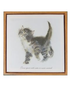 Canvas - Kitten