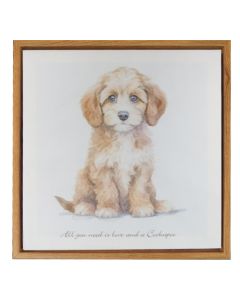 Canvas - Cockapoo
