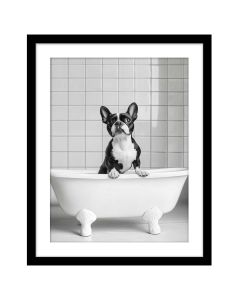 Framed Wall Art - Frenchie in Bath