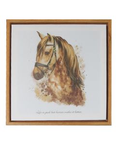 Canvas - Horse