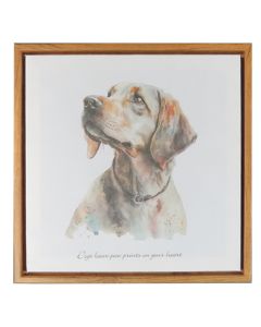Canvas - Labrador