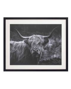 Framed Wall Art - Highland Cow Large