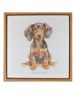 Canvas - Daschund
