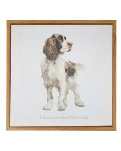 Canvas - Springer Spaniel
