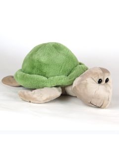 Myrtle Turtle